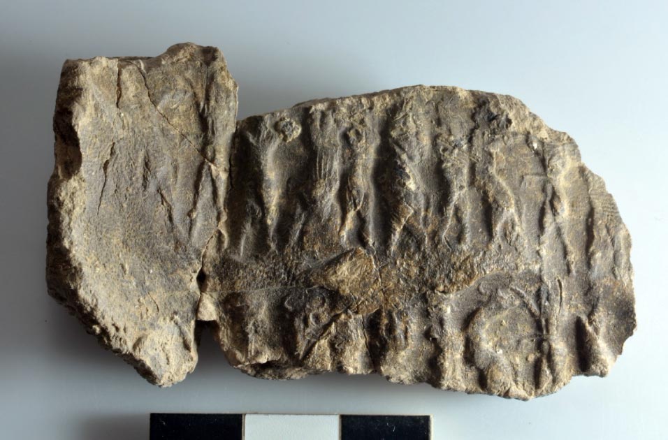 Mesopotamian seals and cuneiform tablets found in Marad, Iraq.