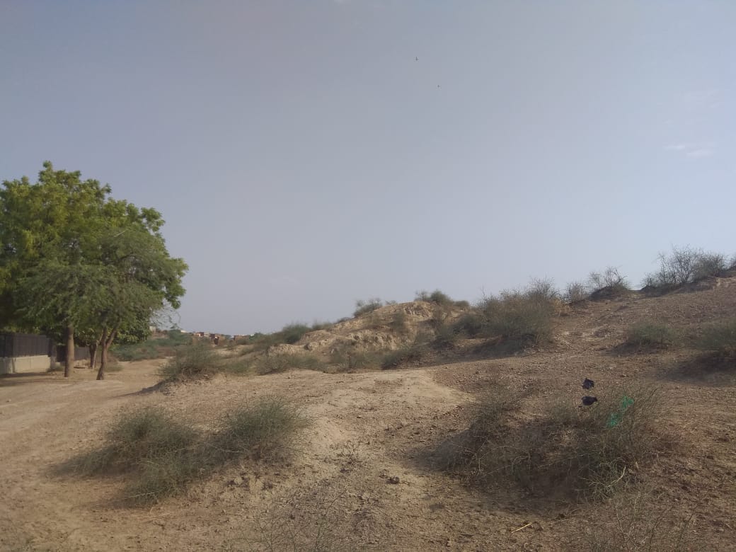 Rakhigarhi, collapse around 1800 BC.