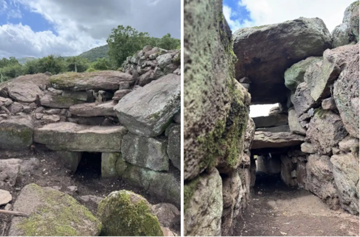 No giants were found in this tomb