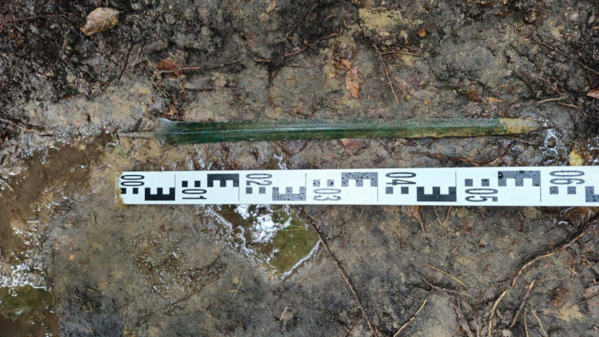 A sword left standing in a forest