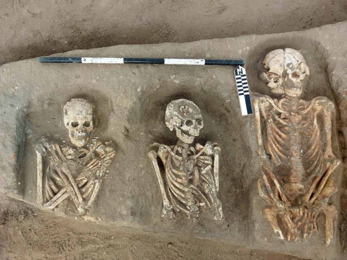 A cemetery that buried whole wild boars