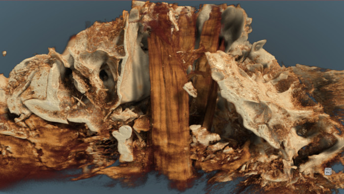 An aurochs skull set on a post