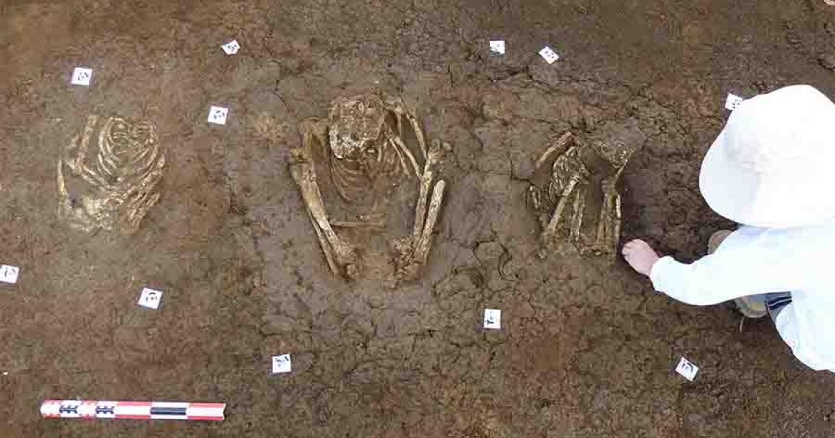 A Caribbean cemetery where the bones were still whole.