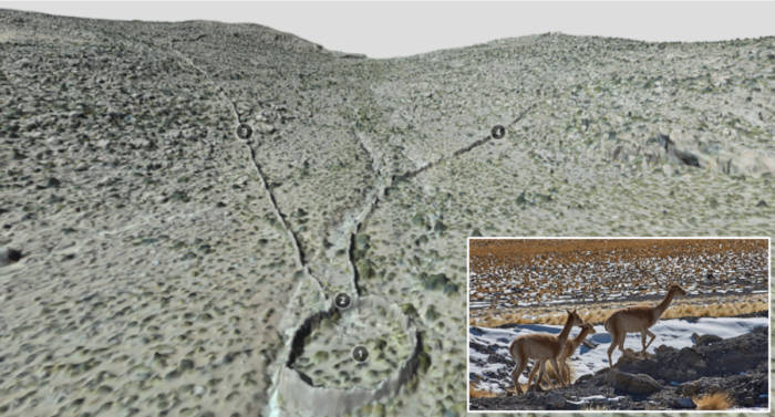 Stone traps shaped like a V