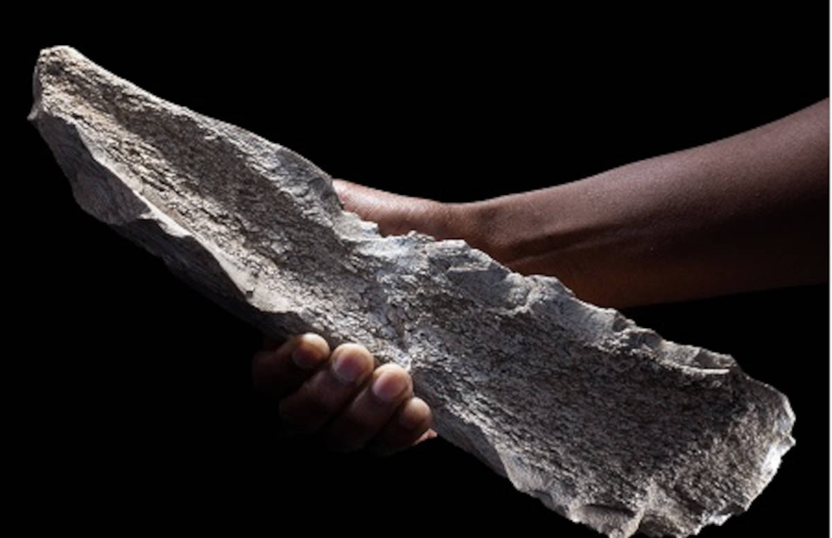 Bone tools from hippos and elephants